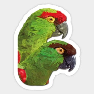 mountain parrot Sticker